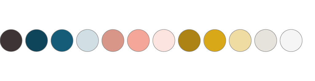 12 circles with the colorofmagic brand colors